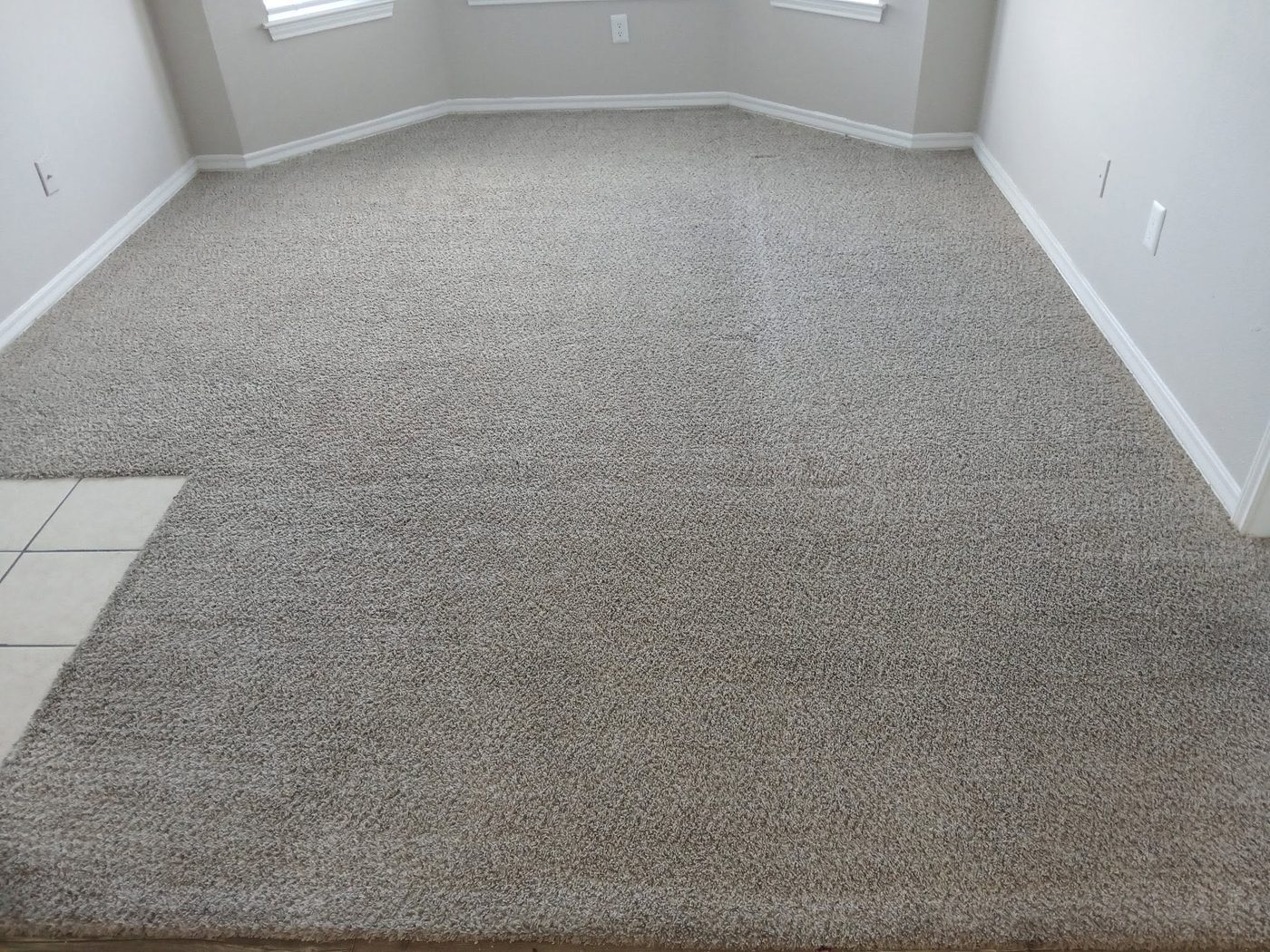 The same apartment carpet after Team Indigo's hot-water extraction