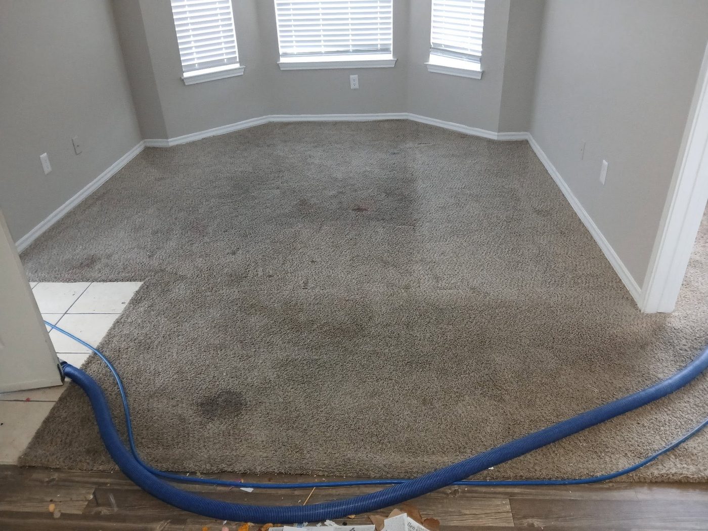 Apartment carpet before cleaning, with heavy soiling and traffic lanes