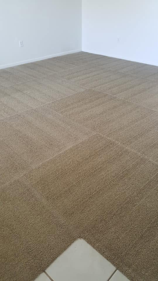 Freshly extracted carpet in an empty unit