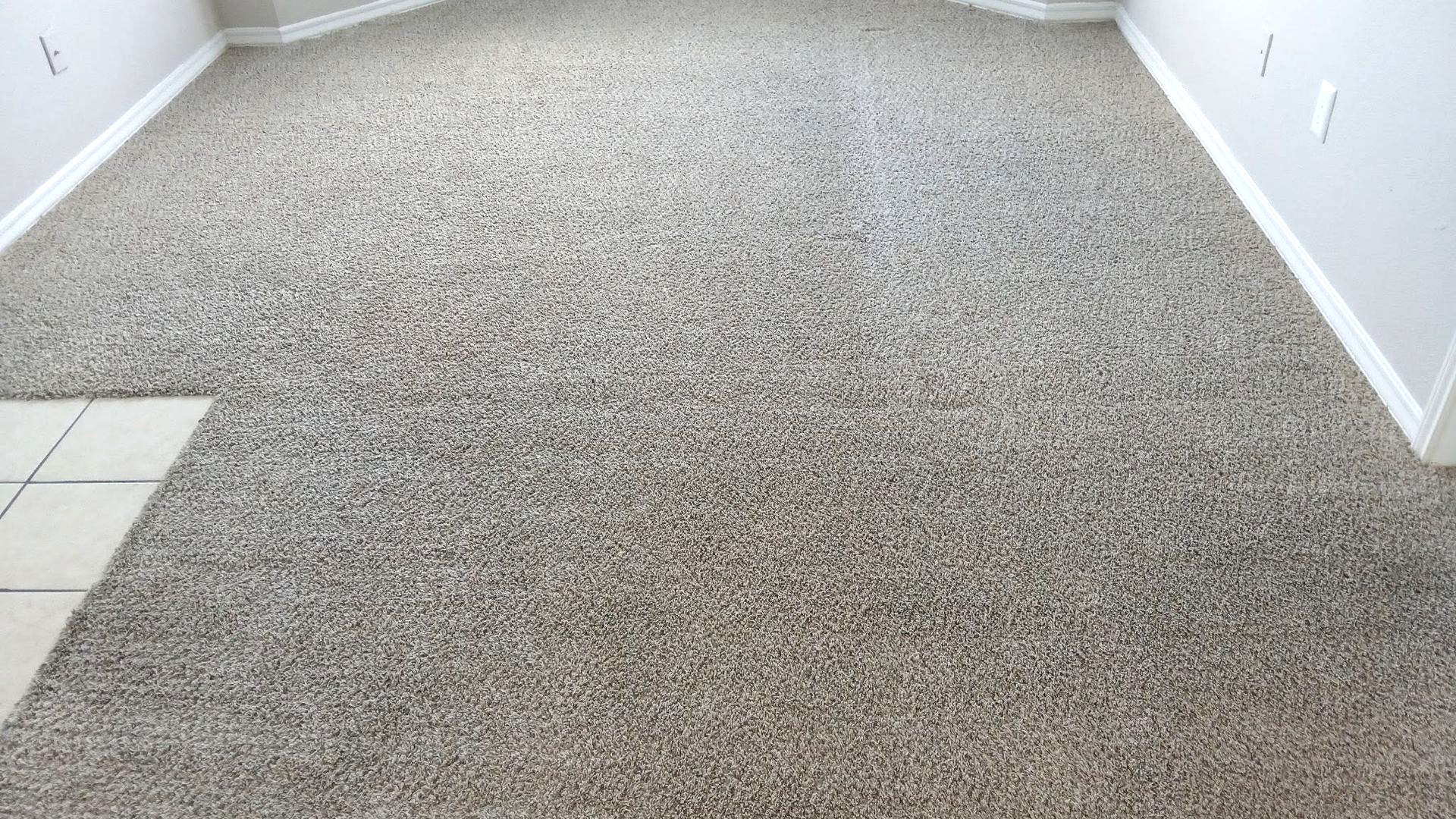 Apartment carpet after Team Indigo's hot-water extraction